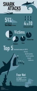 CynthiaCarter-Shark-Attack-Infographic